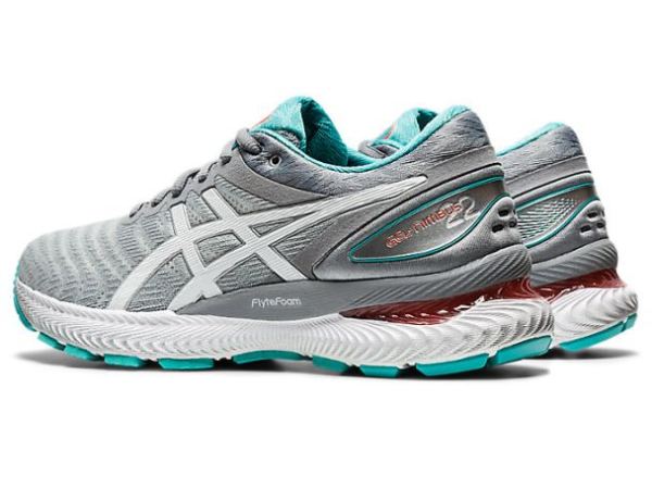 ASICS SHOES | GEL-Nimbus 22 (D) - Sheet Rock/White