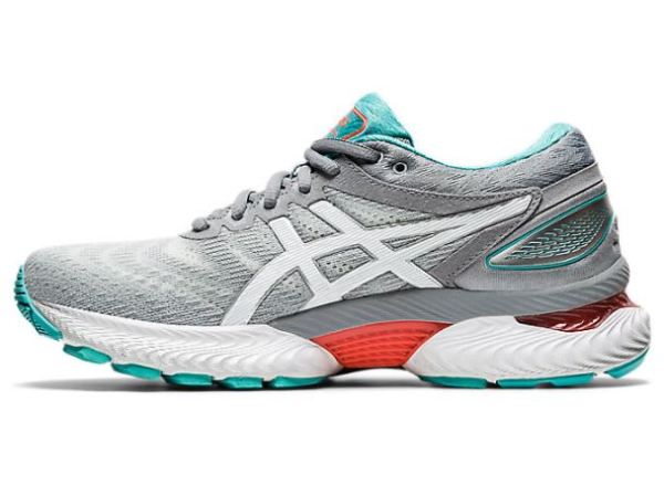 ASICS SHOES | GEL-Nimbus 22 (D) - Sheet Rock/White