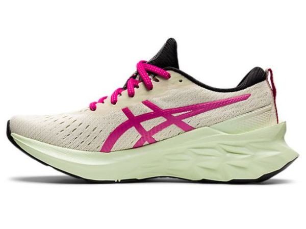 ASICS SHOES | NOVABLAST 2 - Birch/Pink Rave