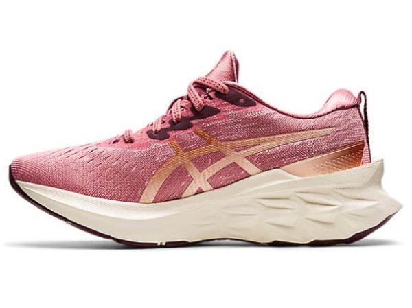 ASICS SHOES | NOVABLAST 2 - Smokey Rose/Pure Bronze