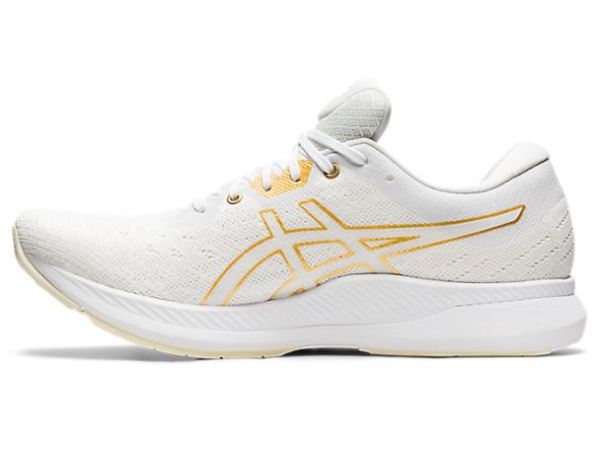 ASICS SHOES | EVORIDE - White/White