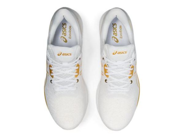 ASICS SHOES | EVORIDE - White/White