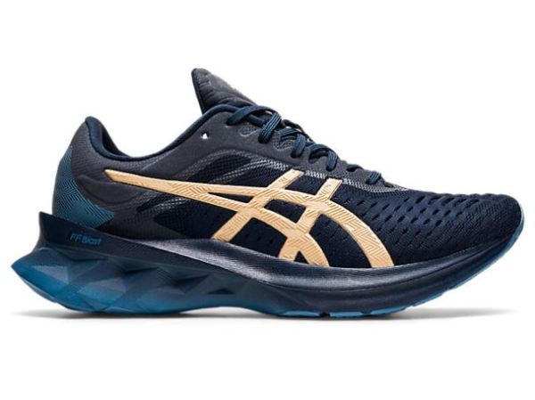 ASICS SHOES | NOVABLAST - French Blue/Champagne