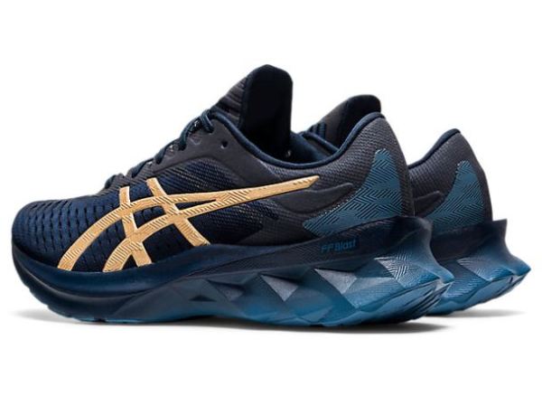 ASICS SHOES | NOVABLAST - French Blue/Champagne