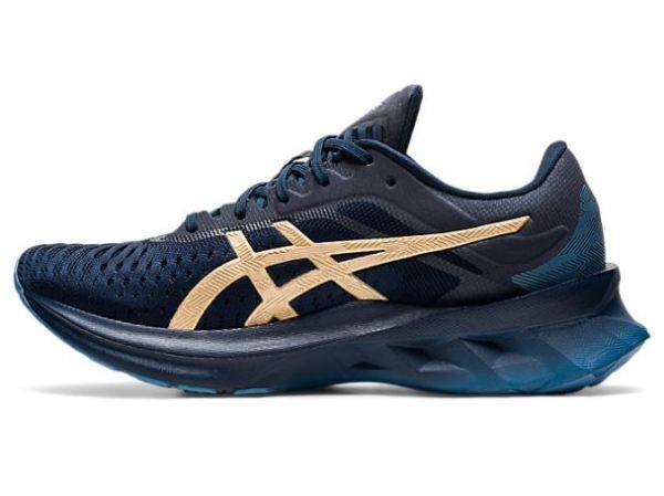 ASICS SHOES | NOVABLAST - French Blue/Champagne