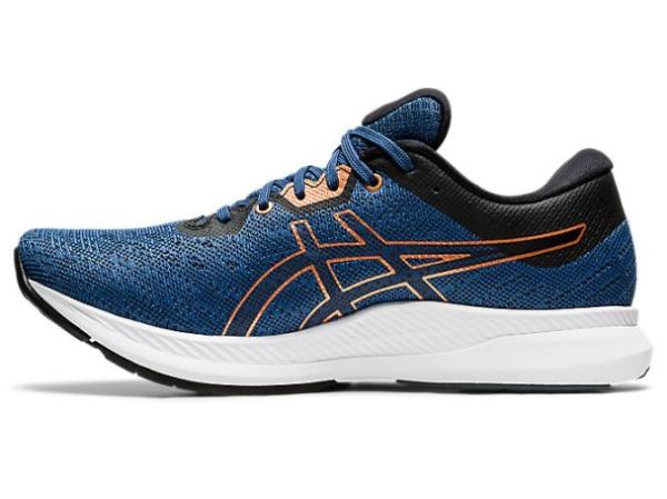 ASICS SHOES | EvoRide - Grand Shark/Pure Bronze