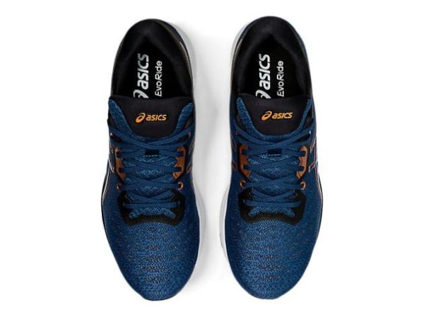 ASICS SHOES | EvoRide - Grand Shark/Pure Bronze