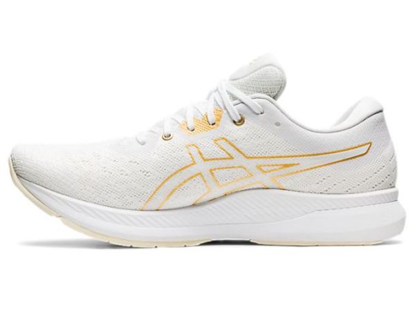 ASICS SHOES | EvoRide - White/White