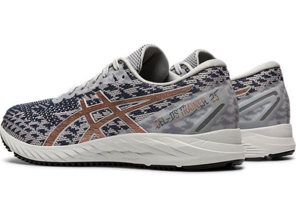 ASICS SHOES | GEL-DS Trainer 25 - Polar Shade/Rose Gold