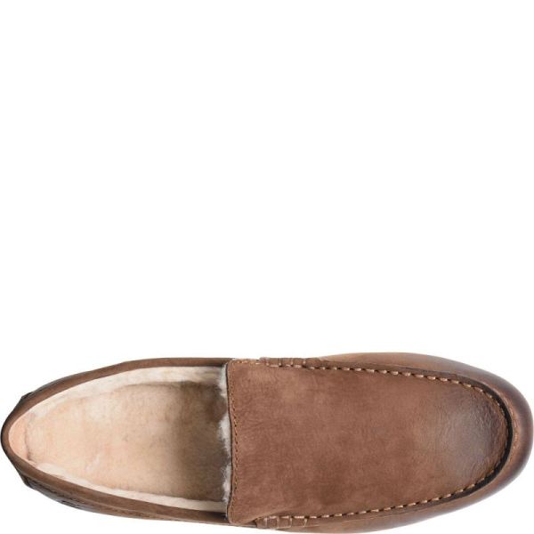 Born | For Men Allan Shearling Slippers - Carafe Nubuck (Brown)