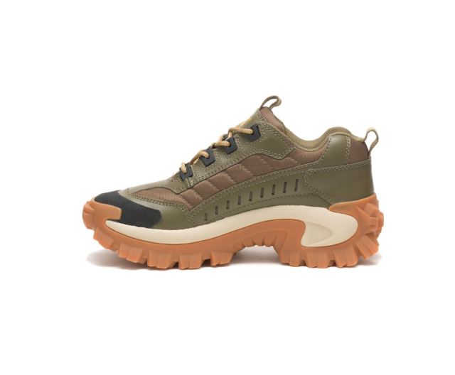 Cat Footwear | Intruder Shoe Dark Olive/Lark