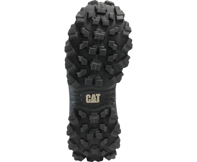 Cat Footwear | Intruder Shoe Cashew