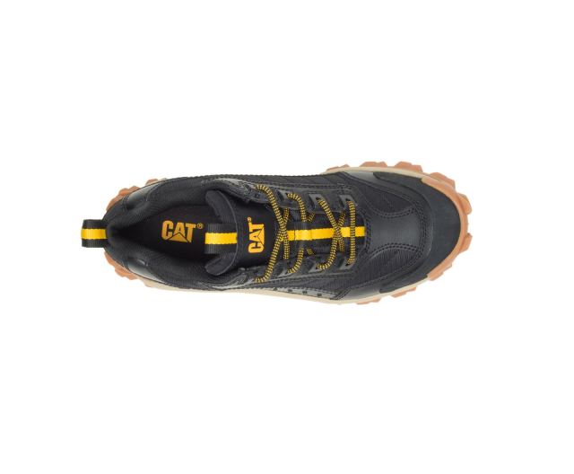 Cat Footwear | Intruder Shoe Black/Full Moon