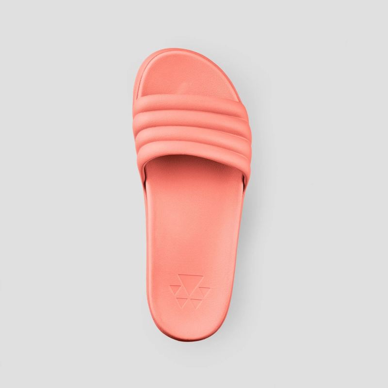 Cougar Women's Pool Party Molded EVA Water-Friendly Slide-Coral