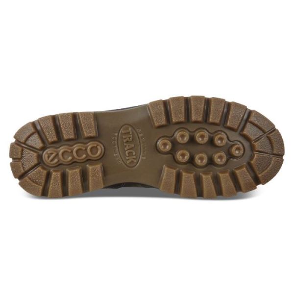 ECCO SHOES -TRACK 25 MEN'S HIKING SHOE-TARMAC