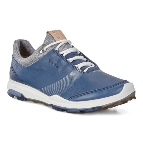 ECCO SHOES -WOMEN'S BIOM HYBRID 3 GTX-DENIM BLUE