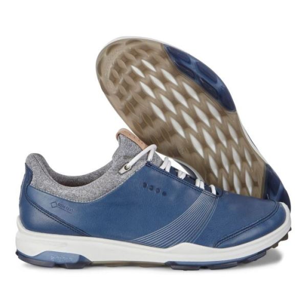 ECCO SHOES -WOMEN'S BIOM HYBRID 3 GTX-DENIM BLUE