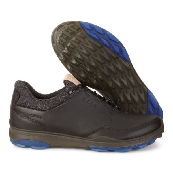 ECCO SHOES -MENS BIOM HYBRID 3 GTX-BLACK/BERMUDA BLUE