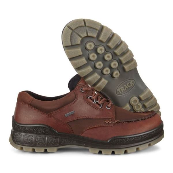 ECCO SHOES -TRACK 25 MEN'S LOW-BISON/BISON