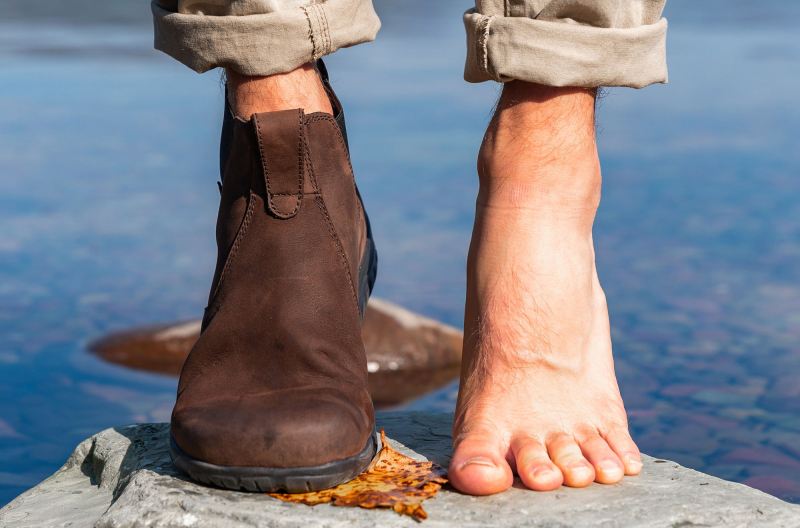 LEMS | MEN'S CHELSEA BOOT WATERPROOF-Espresso