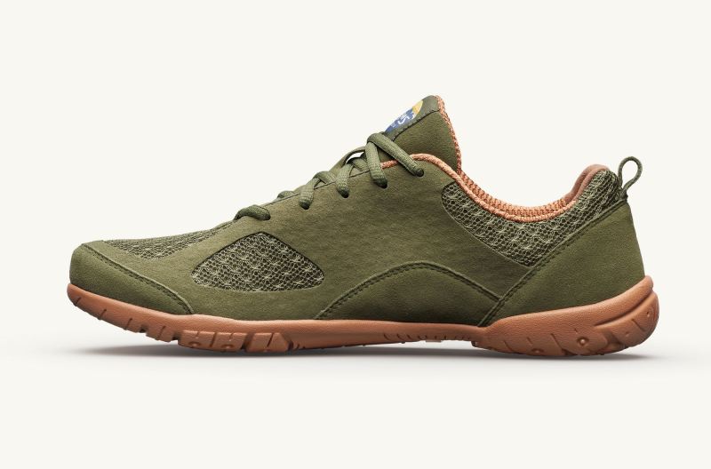 LEMS | MEN'S PRIMAL 2-Olive