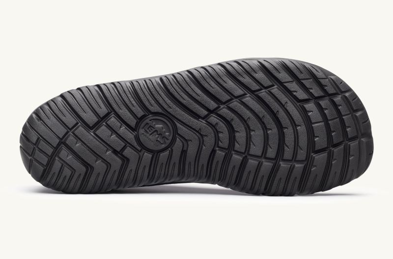 LEMS | MEN'S PRIMAL ZEN-Asphalt