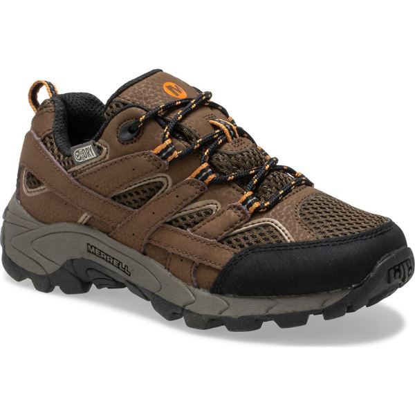 Merrell |  Moab 2 Low Lace Waterproof Sneaker-Earth