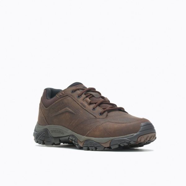 Merrell |  Moab Adventure Lace-Dark Earth