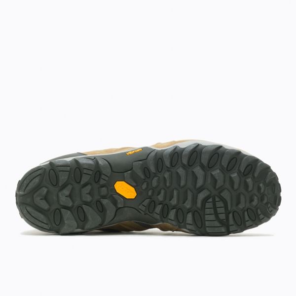 Merrell |  Chameleon 8 Stretch Waterproof-Butternut