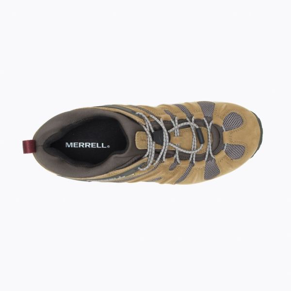 Merrell |  Chameleon 8 Stretch Waterproof-Butternut