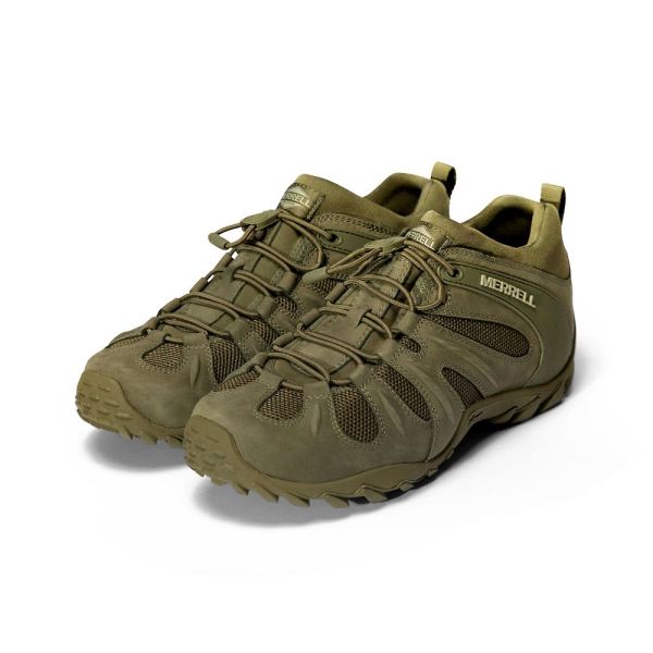 Merrell |  Cham 8 Stretch Tactical-Dark Olive