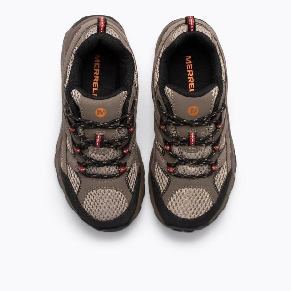 Merrell |  Moab 2 Low Lace Shoe-Bark Brown
