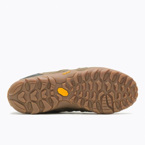 Merrell |  Chameleon 8 Stretch-Olive