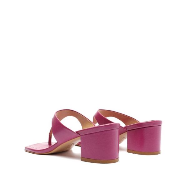 Schutz | Women's Darlin Leather Sandal-Violet Pink