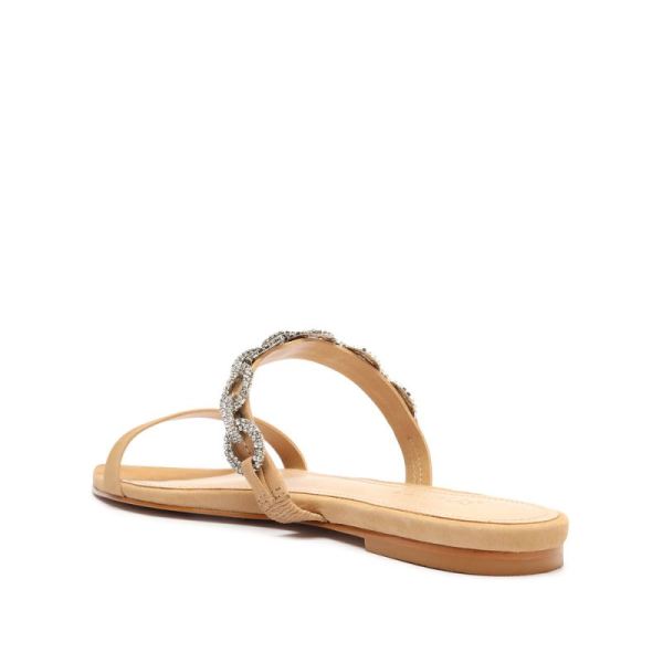 Schutz | Women's Elisah Nubuck Flat Sandal-Light Nude