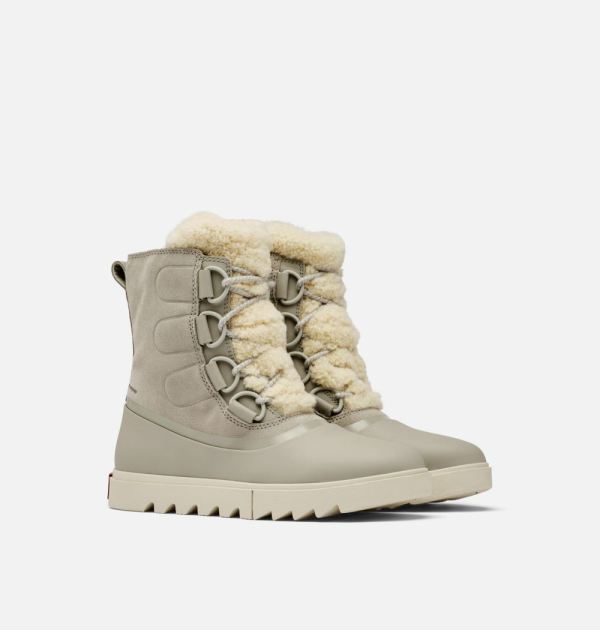 Sorel Shoes Women's Joan Of Arctic NEXT LITE Boot-Dove