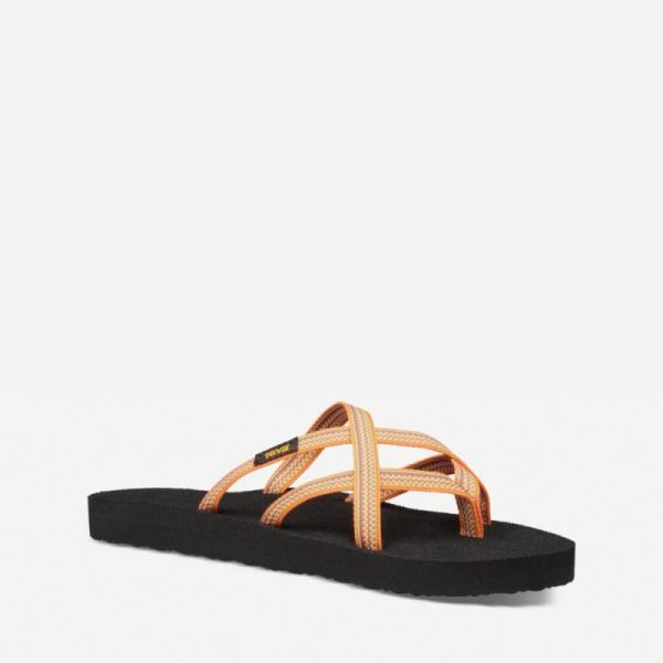 Teva | Women's Olowahu - ANTIGOUS SUNFLOWER