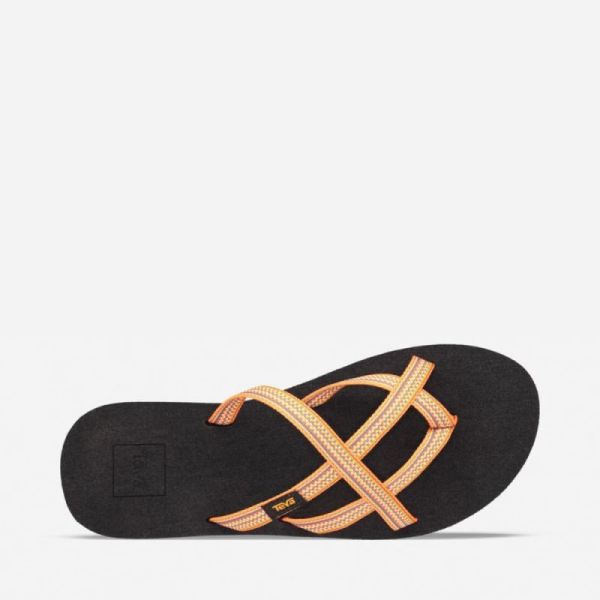 Teva | Women's Olowahu - ANTIGOUS SUNFLOWER