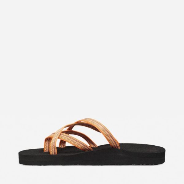 Teva | Women's Olowahu - ANTIGOUS SUNFLOWER