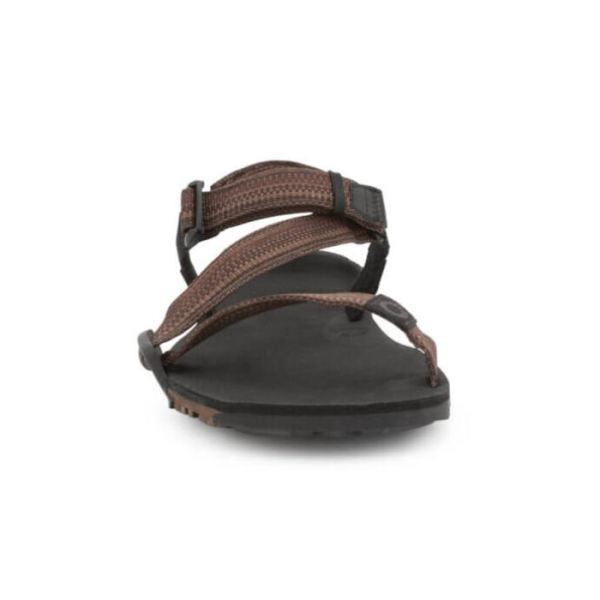 Xero | Men's Z-Trail EV - MULTI-BROWN