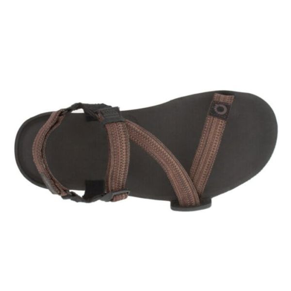 Xero | Men's Z-Trail EV - MULTI-BROWN