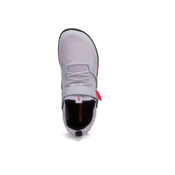 Xero | Men's Forza Trainer - MICRO GRAY / RED