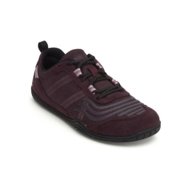 Xero | Women's 360 - FIG / BLACK