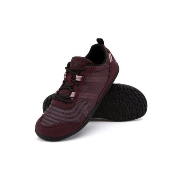 Xero | Women's 360 - FIG / BLACK