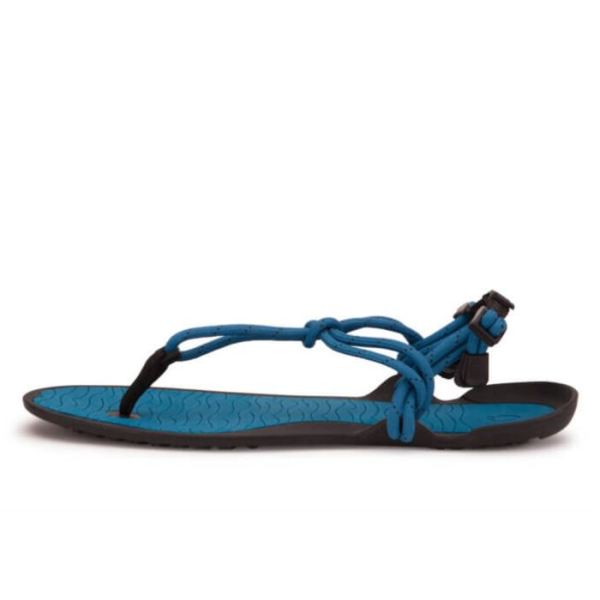 Xero | Men's Aqua Cloud - BLUE SAPPHIRE