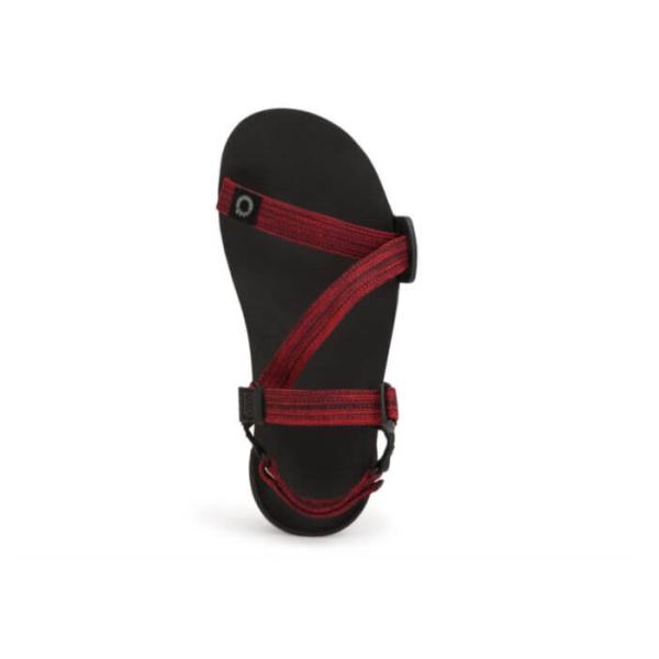 Xero | Men's Z-Trail EV - RED