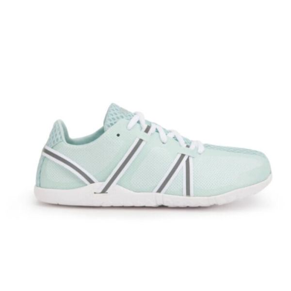 Xero | Women's Speed Force - BLUE GLASS