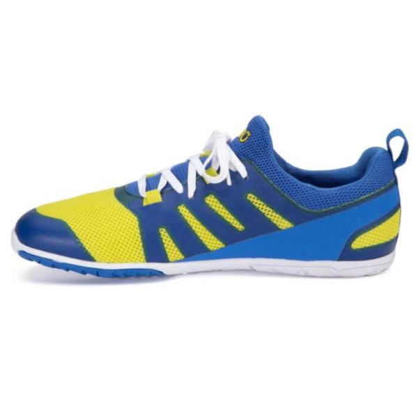 Xero | Men's Forza Runner - VICTORY BLUE / SULPHUR