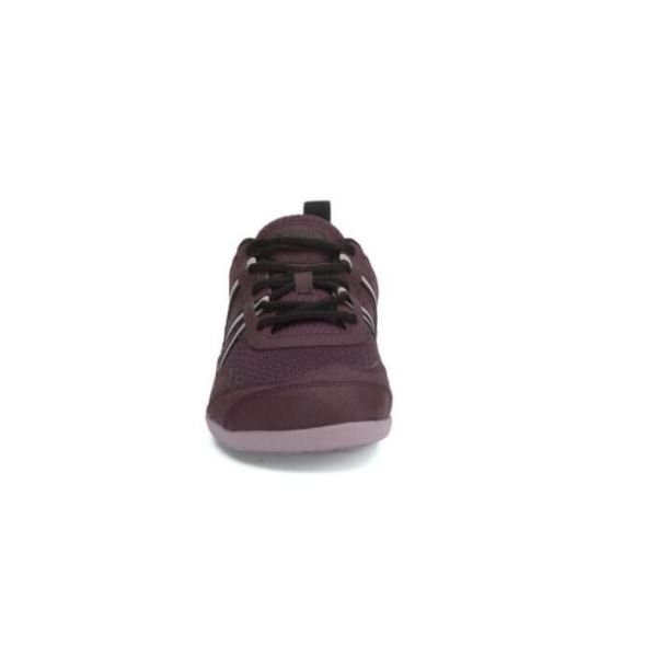 Xero | Women's Prio Running and Fitness Shoe - FIG / ELDERBERRY