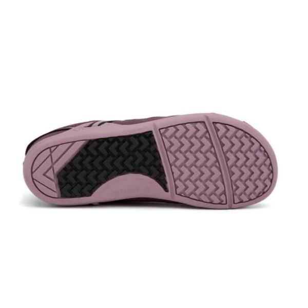 Xero | Women's Prio Running and Fitness Shoe - FIG / ELDERBERRY